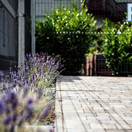 Pusszantalak Lägenhet