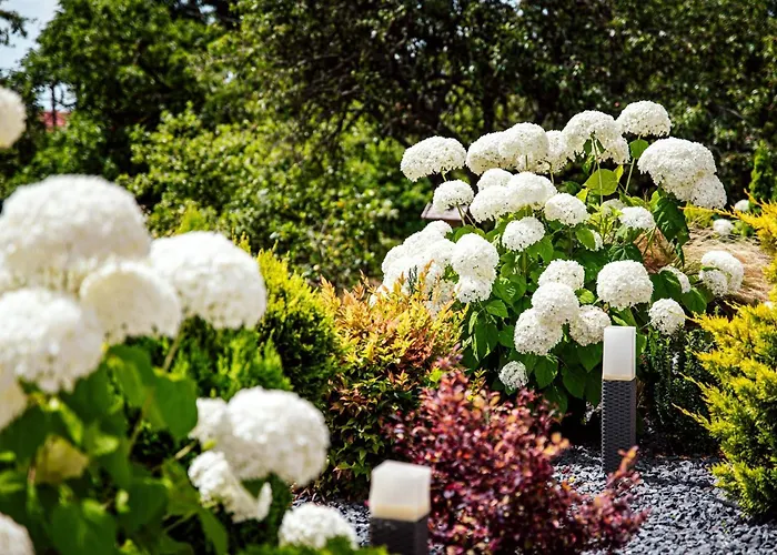 Pusszantalak * Paloznak